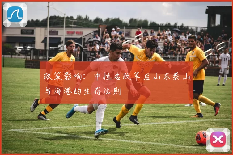 政策影响：中性名改革后山东泰山与海港的生存法则